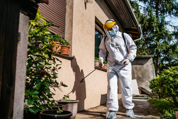 Bird Control in Logan, UT
