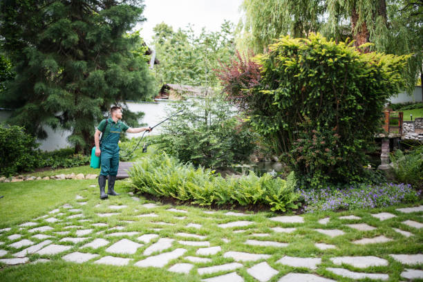 Best Mosquito Control Services  in Logan, UT