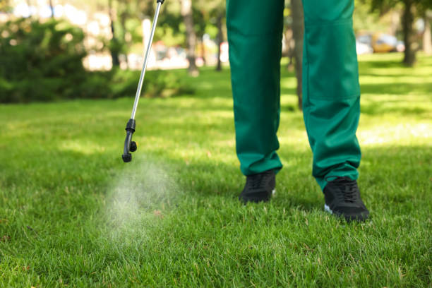 Best Emergency Pest Control  in Logan, UT