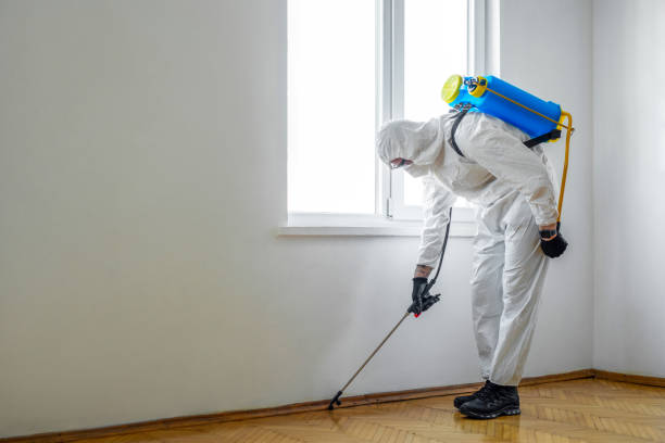 Best Pest Control Near Me  in Logan, UT