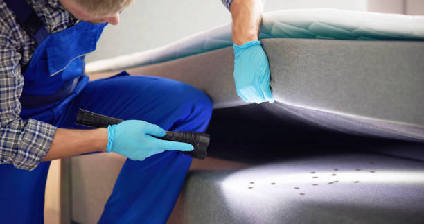 Best Residential Pest Control  in Logan, UT