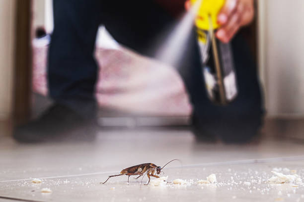 Best Pest Control Near Me  in Logan, UT