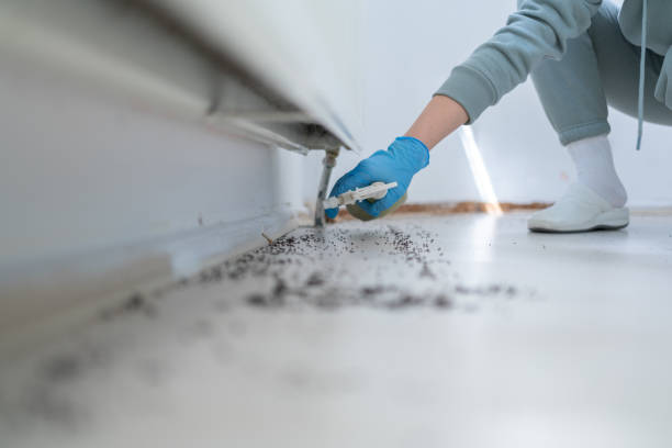 Best Best Pest Control Companies  in Logan, UT