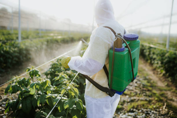 Best Affordable Pest Control Services  in Logan, UT